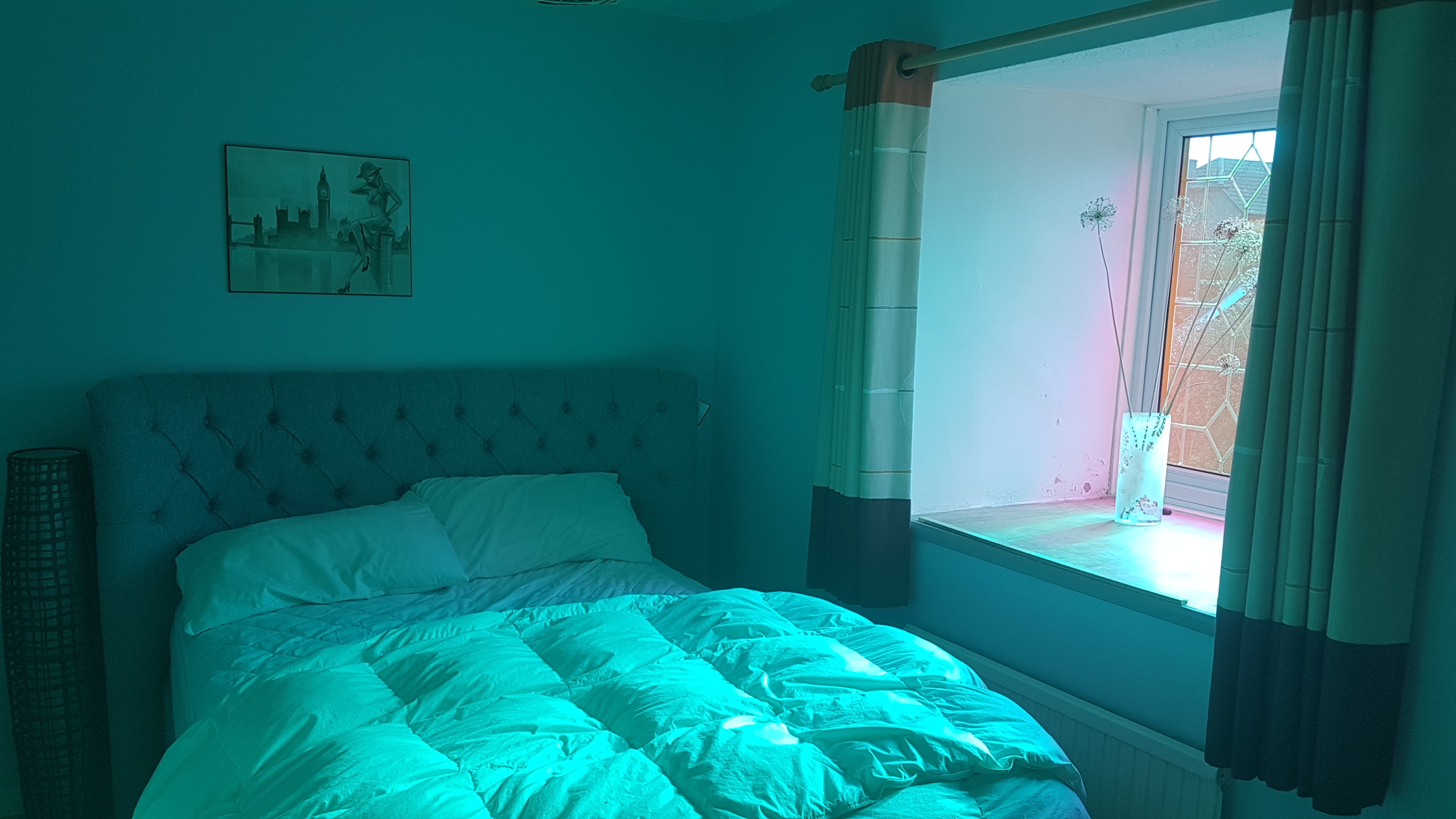 3M Dichroic windowfilm